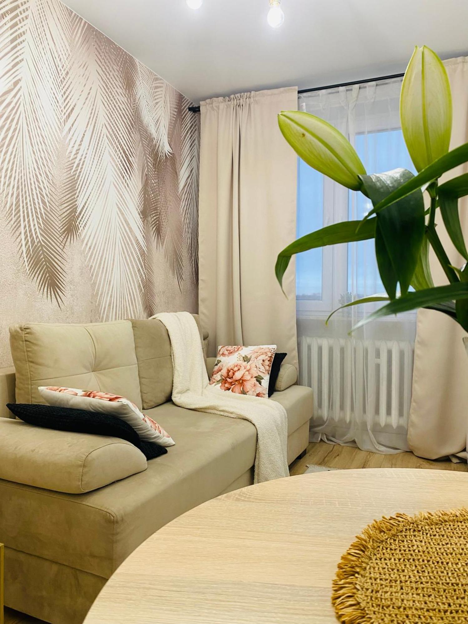 Lovely Space * Rzeszow